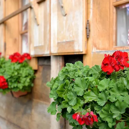 Grebengradska Medna Hiza Guest House Donje Makojisce Exterior photo