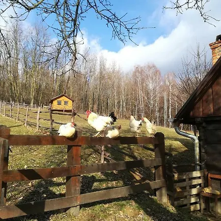Grebengradska Medna Hiza Guest House Donje Makojisce Exterior photo