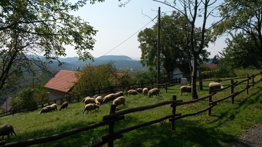 Grebengradska Medna Hiza