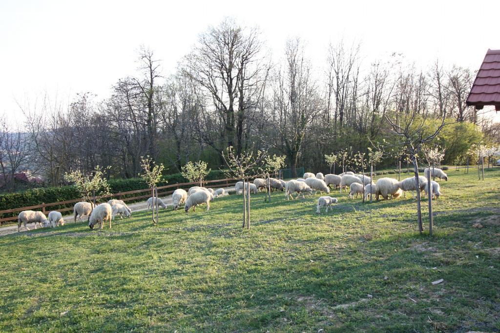 Grebengradska Medna Hiza Donje Makojisce