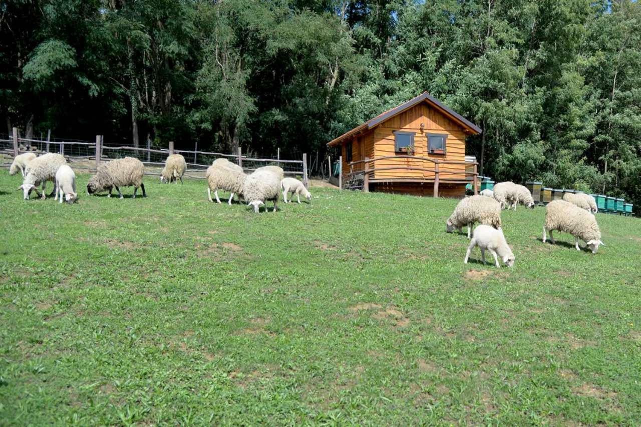 Country house Grebengradska Medna Hiza Donje Makojisce